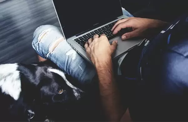 Teletrabajo: cómo hacer que su mascota entienda que está ocupado