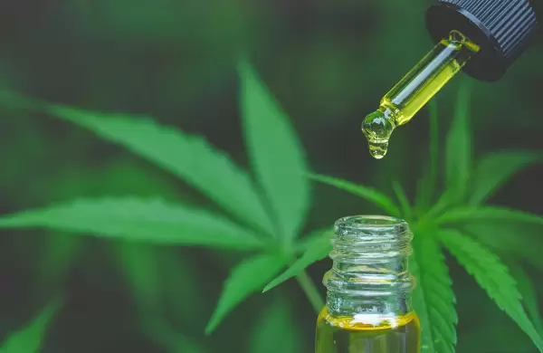 Directivos de ELEA: "Nuestro cannabis medicinal es 10 veces más barato que el de la competencia"