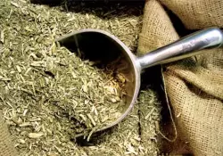 Cmo es el negocio de la yerba mate en la Argentina y cules son sus desafos a futuro