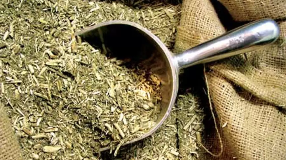 Yerba mate.