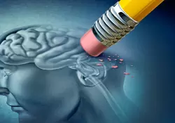 Cientficos desarrollan un biosensor que podra detectar el Alzheimer en dos horas