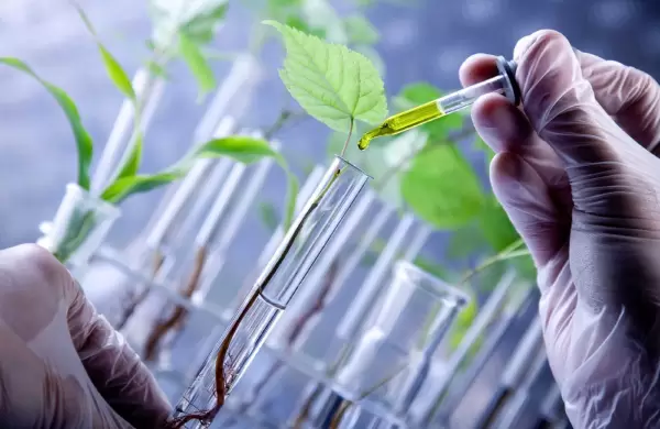 La biotecnología, una oportunidad para la internacionalización de empresas argentinas