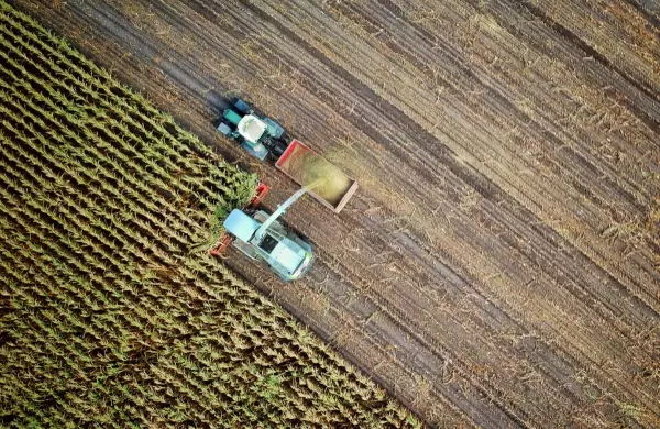 Banca: se suman propuestas con foco en el agro