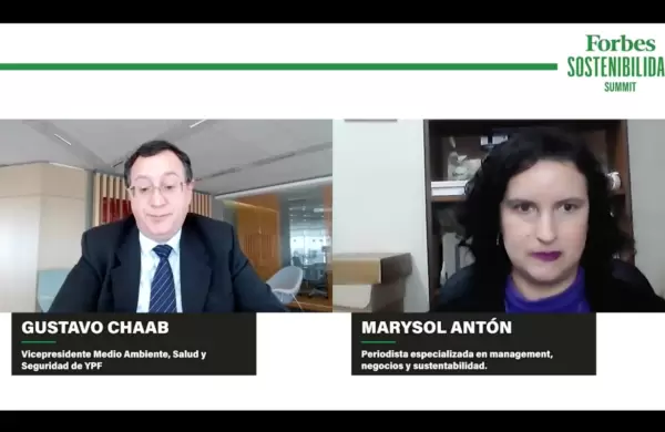 Gustavo Chaab de YPF: "Queremos ser ms eficientes en la produccin"