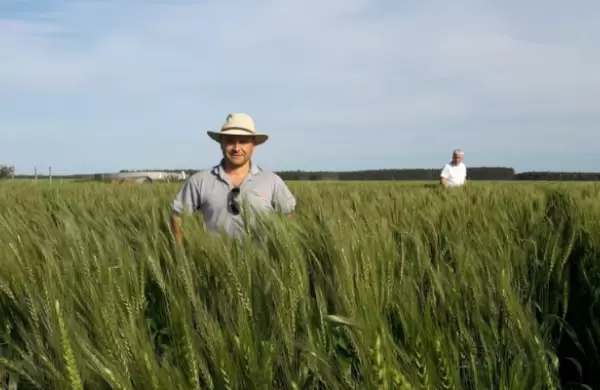 De revendedor a empresario: fundó una firma de fertilizantes para agricultura orgánica