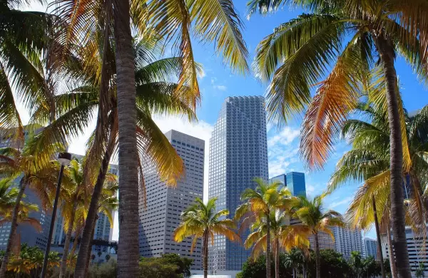 Miami tendr su propia criptomoneda: cmo es el 'MiamiCoin'