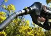 Cómo es el nuevo marco regulatorio que fijó el Gobierno para los Biocombustibles