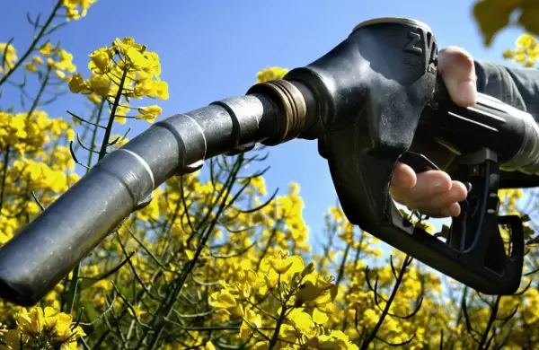 Cómo es el nuevo marco regulatorio que fijó el Gobierno para los Biocombustibles