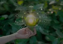 Utopa o realidad de la transformacin digital: cmo encararla