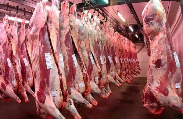 Los factores que impulsarían el precio de la carne hacia fin de año
