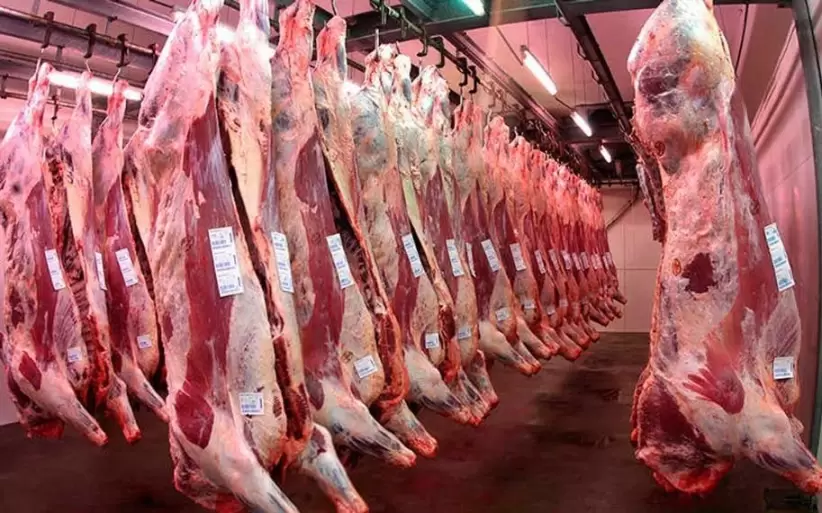 Exportación de carne