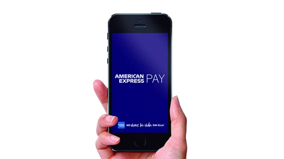 Amex Pay American Express