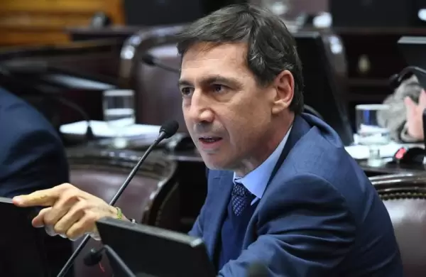 Fuerte cruce en el Senado por las fiestas en Olivos