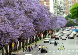 Septiembre llega con aumentos: qu pasar con colegios, prepagas y expensas