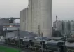 El mayor productor de harina del país entró en convocatoria