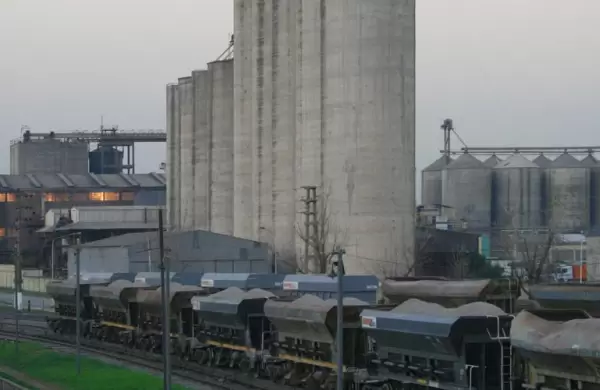 El mayor productor de harina del pas entr en convocatoria