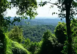 Construyamos un ambiente con responsabilidad