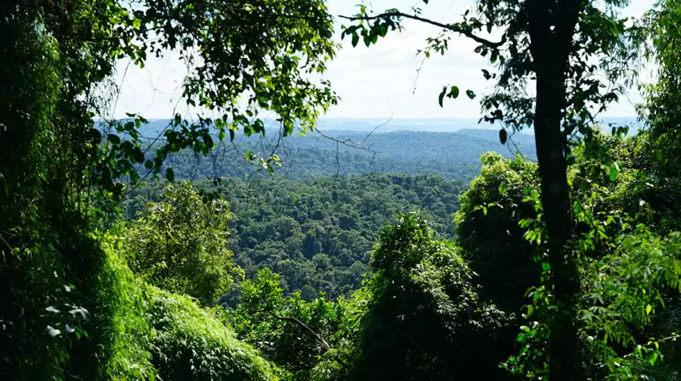 Medioambiente.