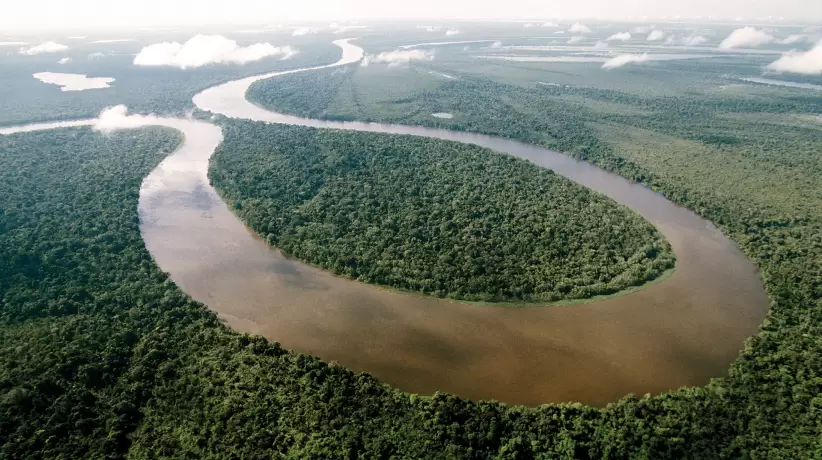 Amaná, Amazonia. Reserva Mamiraujá. José Márcio Ayres, PREMIO ROLEX 2002