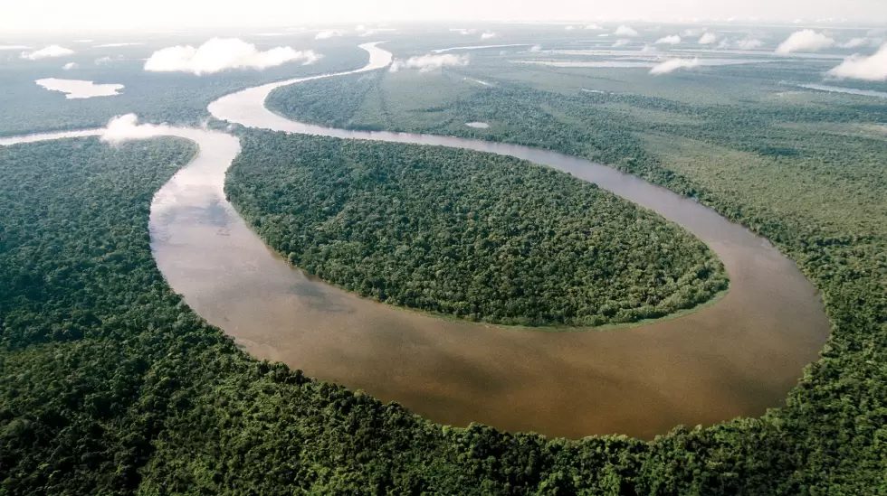 Aman, Amazonia. Reserva Mamirauj. Jos Mrcio Ayres, PREMIO ROLEX 2002