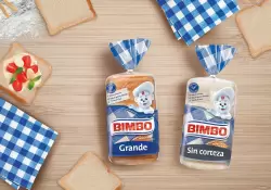 Cmo ser el debut de Bimbo en el financiamiento sustentable