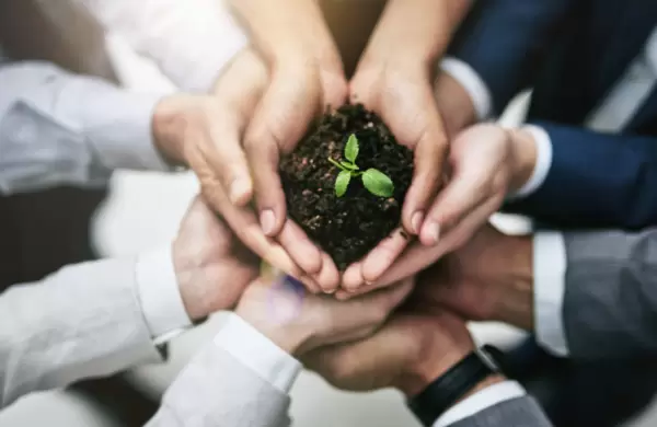 Gua completa para ser una empresa B en la Argentina