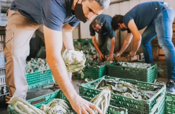En la Argentina se desperdician 16 millones de toneladas de alimentos por año