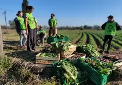 Alimentacin sustentable: en busca de la conciencia y seguridad alimentaria.