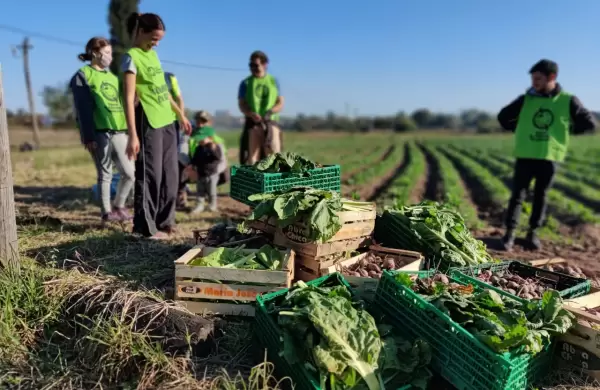 Alimentación sustentable: en busca de la conciencia y seguridad alimentaria.