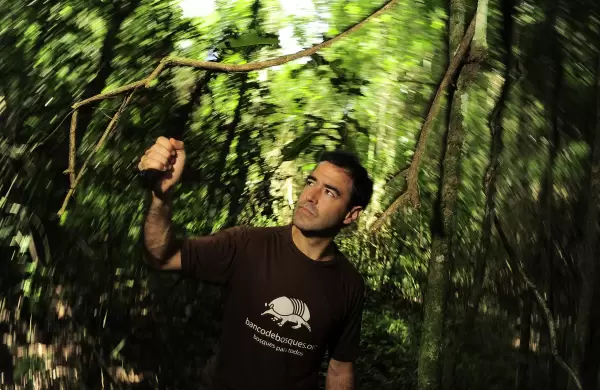 As es Banco de Bosques, la ONG que junto a las empresas salva parques naturales