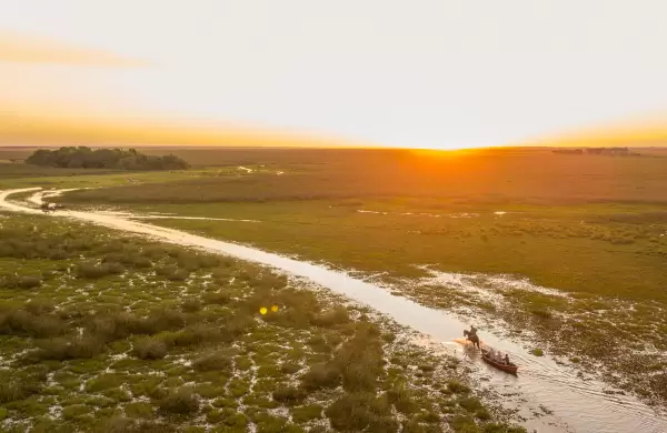 El regreso de la naturaleza