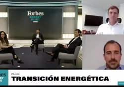 Cambio climtico, matriz energtica y energas renovables, en el centro de la escena