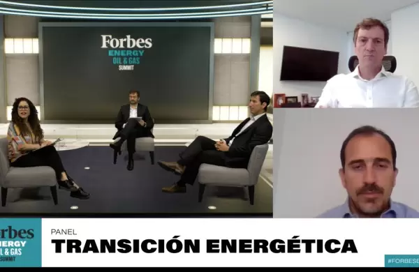 Cambio climático, matriz energética y energías renovables, en el centro de la escena