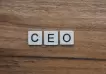 Cuáles son las competencias críticas para ser CEO