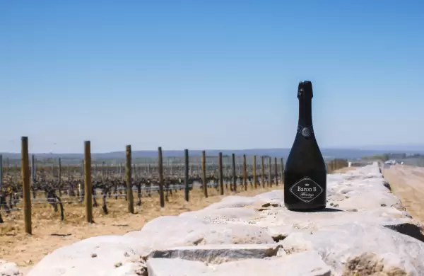 Cómo es el nuevo espumante ultra premium de Baron B