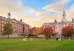 En qué invierte el fondo de la Universidad de Harvard