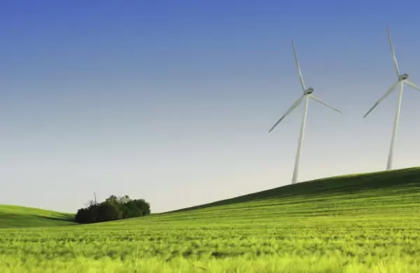 Qu hacen las empresas argentinas para compensar su huella de carbono