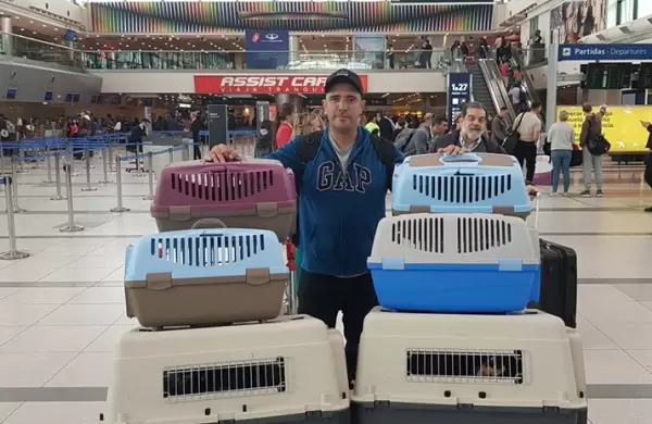 Es adiestrador de perros y creó una empresa que traslada mascotas por el mundo