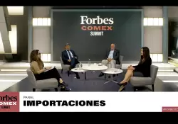 "En materia de importaciones estamos en una etapa difcil"