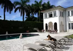 La historia de Gunther, el perro ms rico del mundo con propiedades en Miami, Miln y la Toscana de Italia