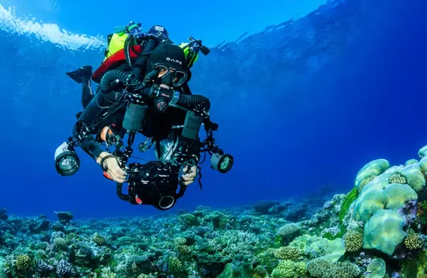 Viaje a los confines del ocano