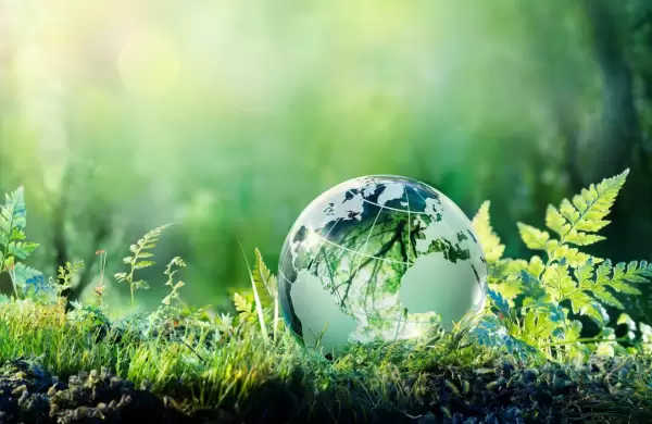 Humedales: la oportunidad de cambiar el futuro