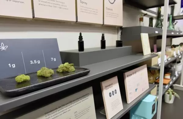 Cómo es el plan de Uber para desembarcar en la industria del cannabis