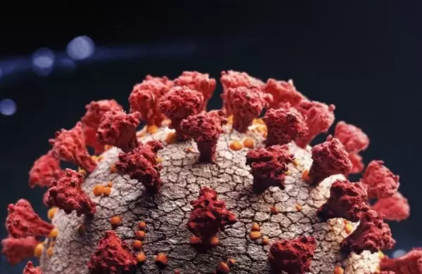 Una nueva variante "horrible" de coronavirus derrumba los mercados y perjudica a la Argentina