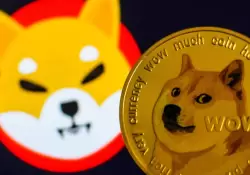 Por qu la criptomoneda Shiba Inu est subiendo y qu hay que hacer al respecto