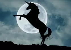 Unicornios en América Latina: oportunidades y desafíos en un mercado en evolución