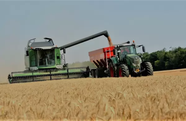 Las economías regionales exportaron un 6% más en dólares en el último año