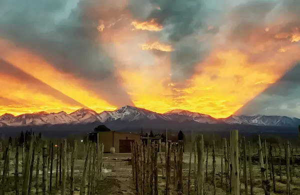 As es el proyecto para promocin de productos orgnicos que est debatiendo Diputados