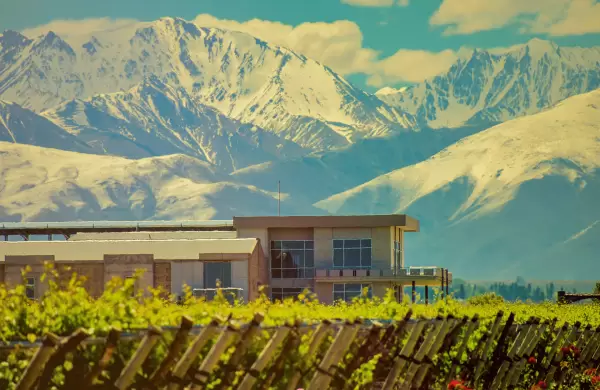 Orgánicos y sin aditivos: crece el consumo de vinos libres de agroquímicos en la Argentina
