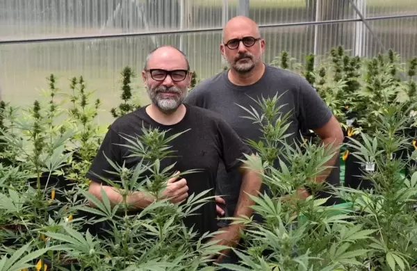 Cannabis medicinal: por primera vez, dos empresas privadas nacionales desarrollarán productos farmacéuticos